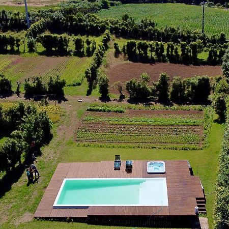 Quinta Dos Sabores Farm Houses Ribeira Grande Ngoại thất bức ảnh