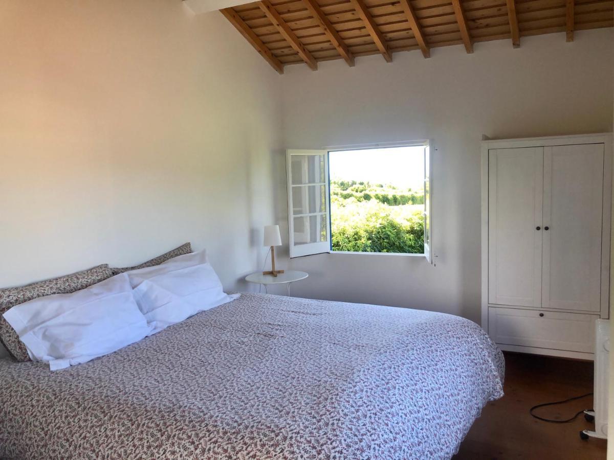 Quinta Dos Sabores Farm Houses Ribeira Grande Ngoại thất bức ảnh