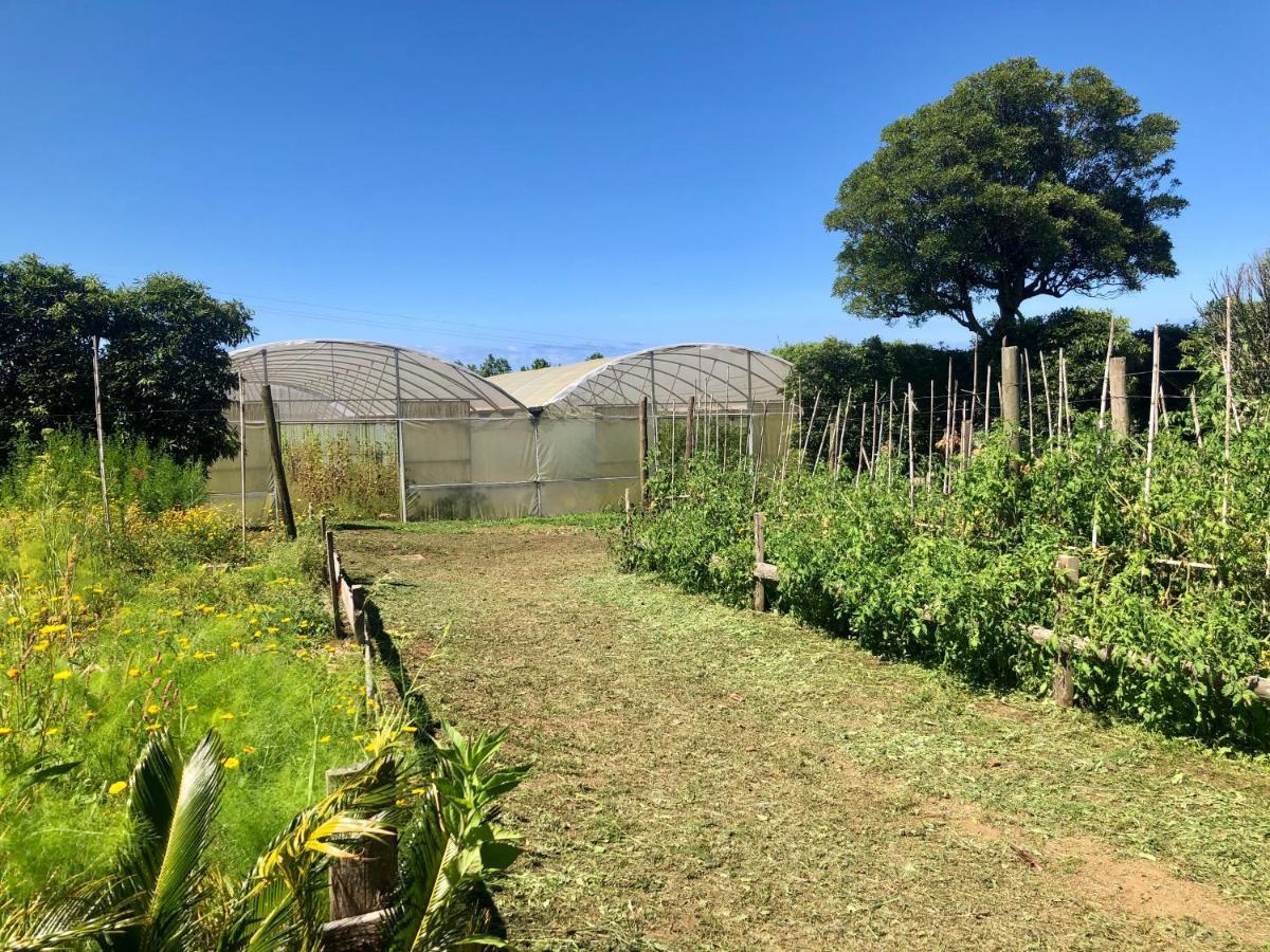 Quinta Dos Sabores Farm Houses Ribeira Grande Ngoại thất bức ảnh