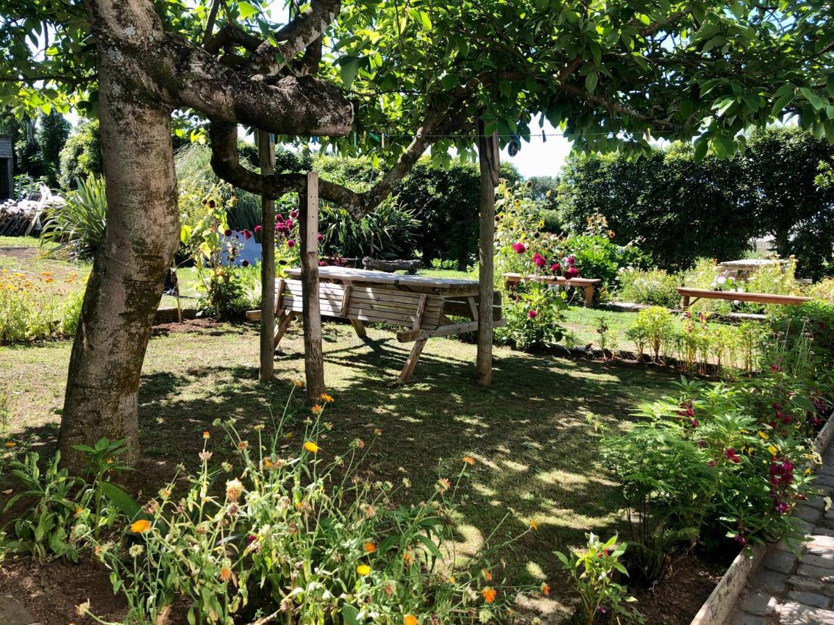 Quinta Dos Sabores Farm Houses Ribeira Grande Ngoại thất bức ảnh